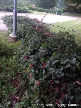 Stanje na cestni infarstrukturi (8)